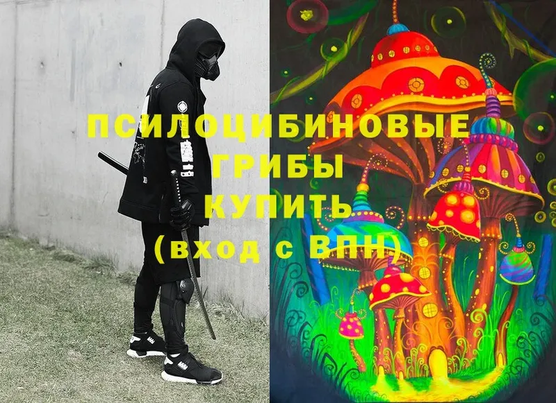 Псилоцибиновые грибы Magic Shrooms  как найти закладки  Углегорск 